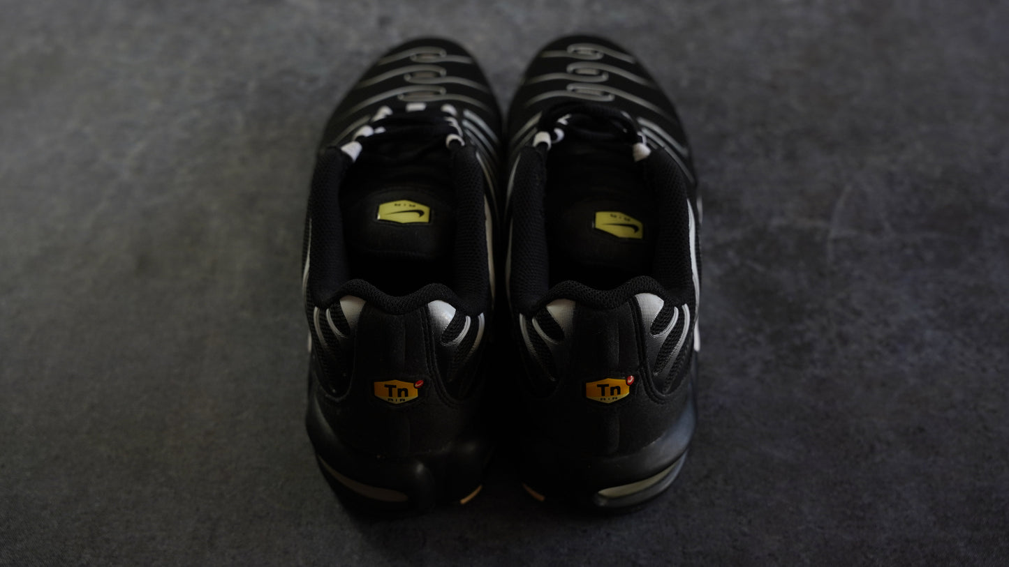 Nike TN Airmax Plus (42)