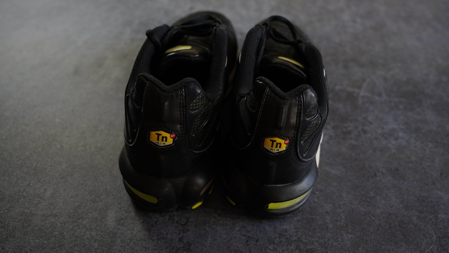 Nike Air Max Plus TN 2007 (44.5)