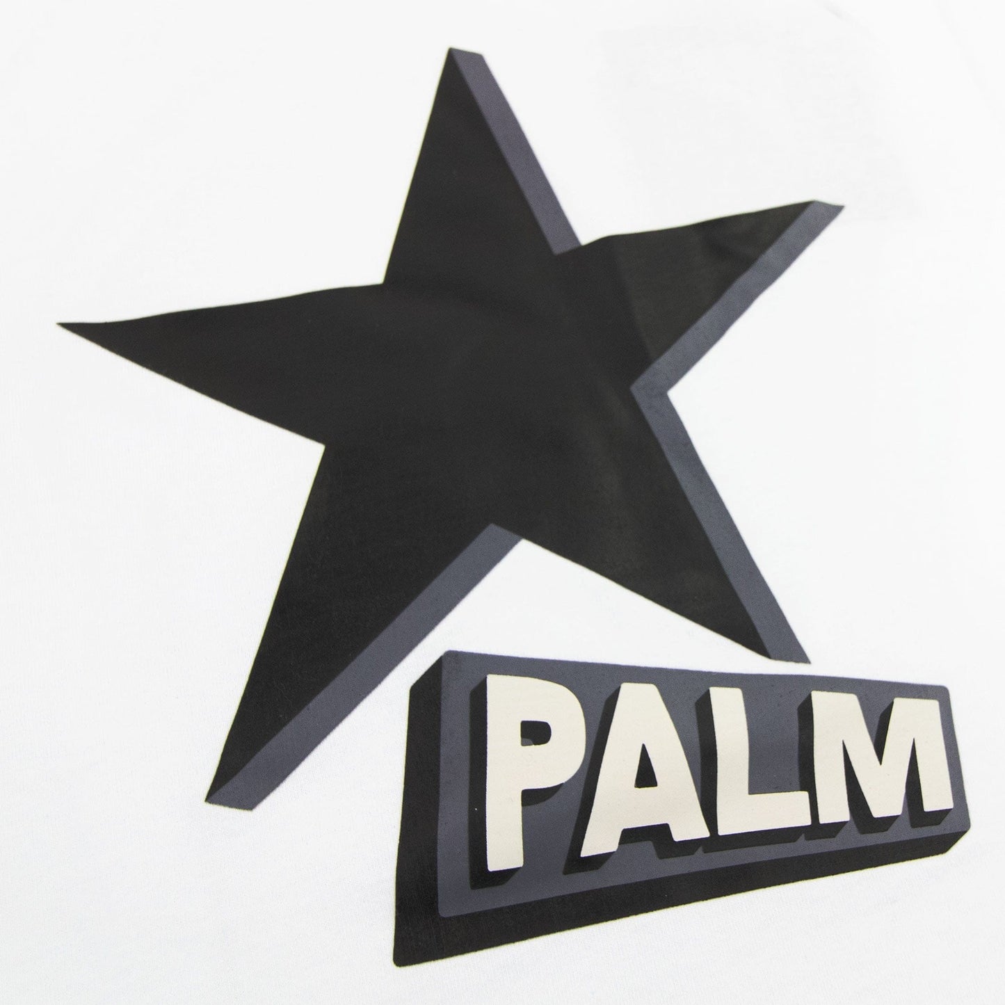 Palm Angels Rockstar Over Reglan T Shirt White/black