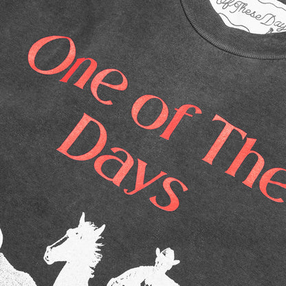 Across the Plains T-Shirt - Sun Faded Black