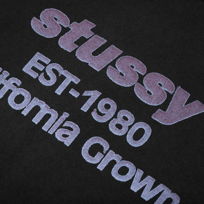 California Grown Pigment Dyed Tee - Black