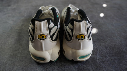 Nike TN Air Max Plus (43)