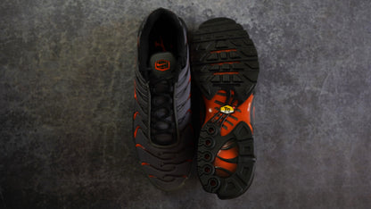 Nike TN Airmax Plus (46)