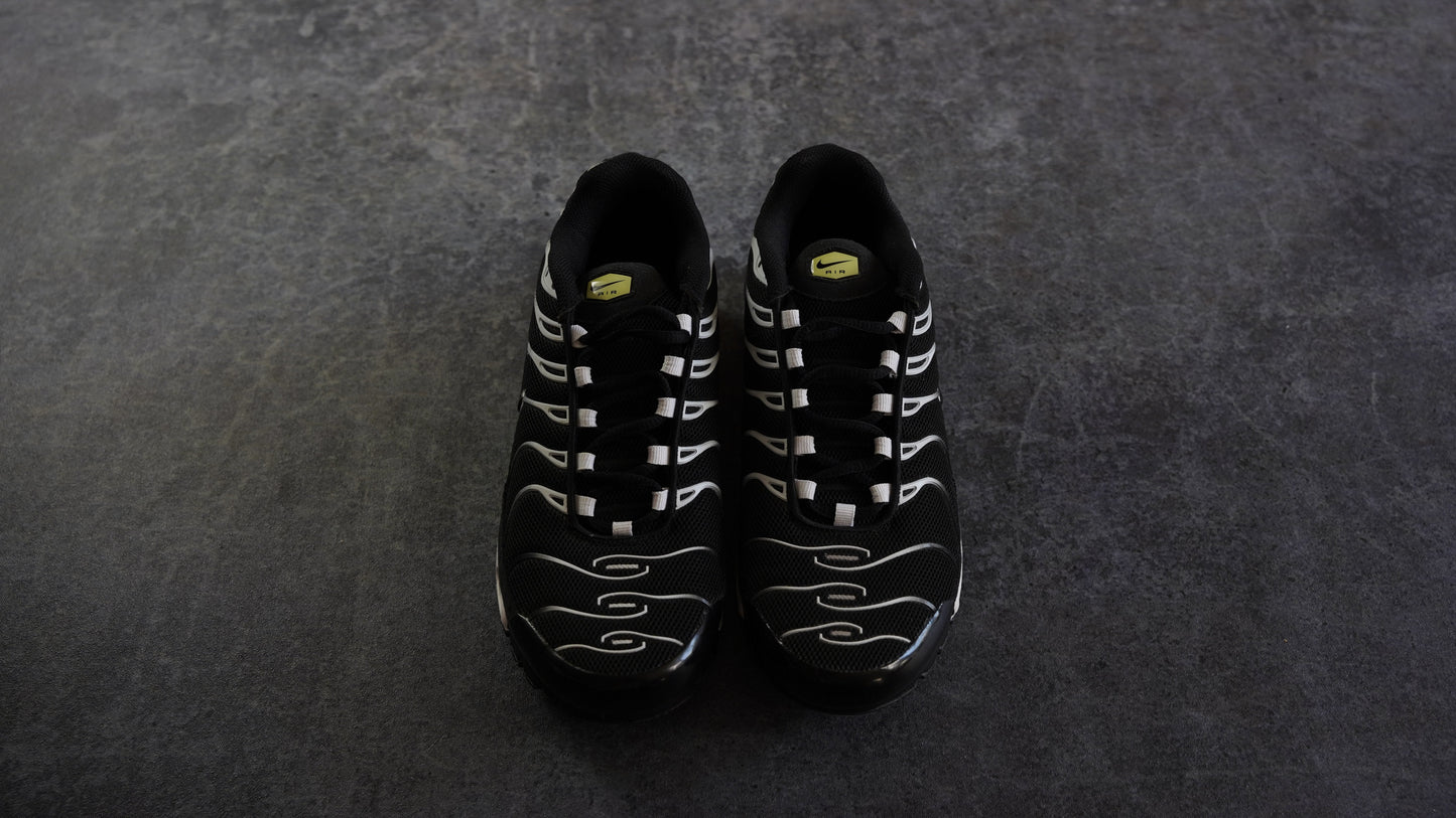 Nike TN Airmax Plus (42)