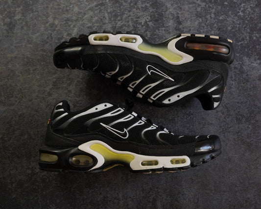 Nike TN Airmax Plus (42)
