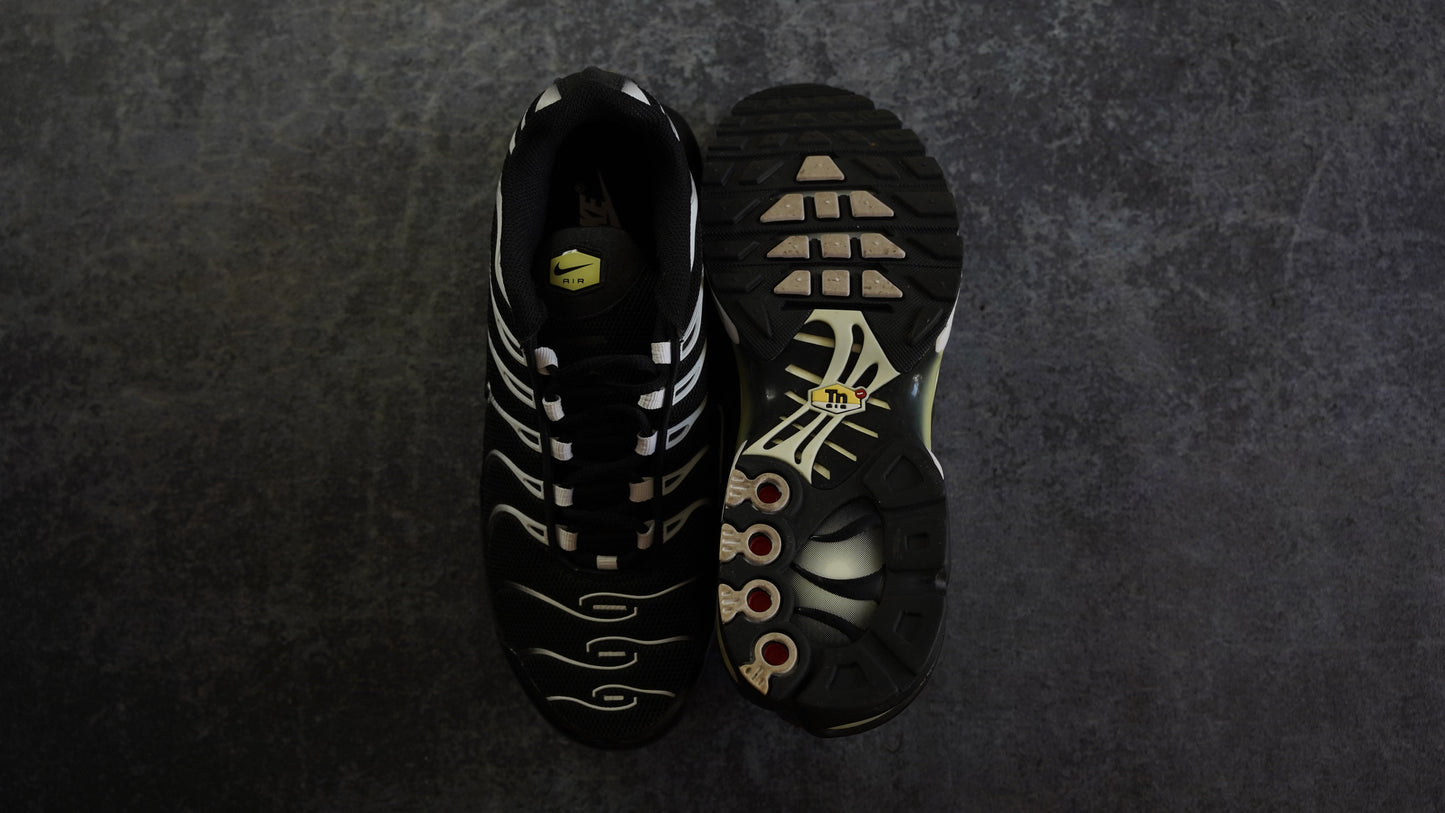 Nike TN Airmax Plus (42)