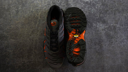 Nike TN Airmax Plus (42.5)