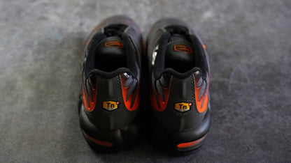Nike TN Airmax Plus (42.5)