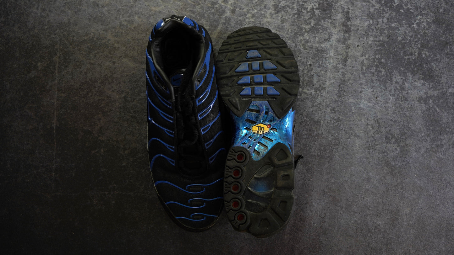 Nike TN Air Max Plus (44)