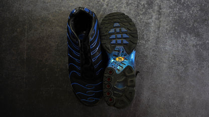 Nike TN Air Max Plus (44)