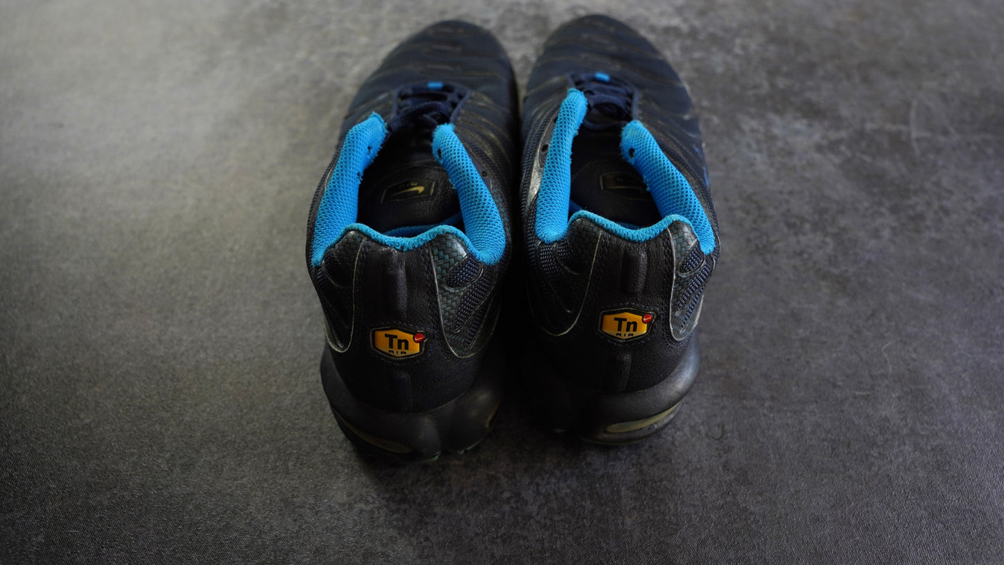 Nike TN Air Max Plus (43)