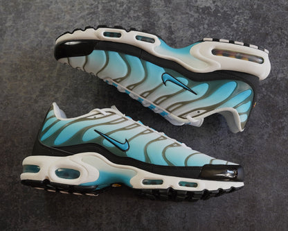 Nike TN Air Max Plus 'Baltic Blue' (47.5)