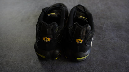 Nike Air Max Plus TN 2007 (44.5)