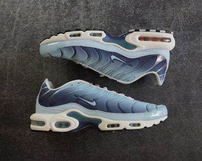 Nike TN Air Max Plus 'University Blue' (45.5)
