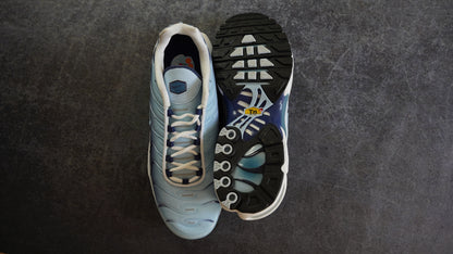 Nike TN Air Max Plus 'University Blue' (45.5)
