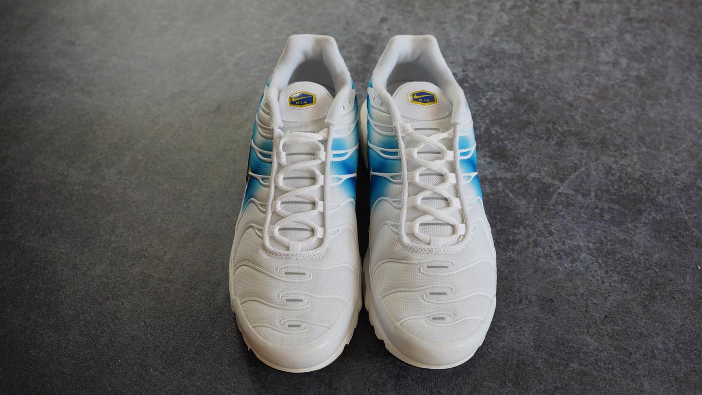 Nike TN Air Max Plus Spray Paint Swoosh White Blue (44)