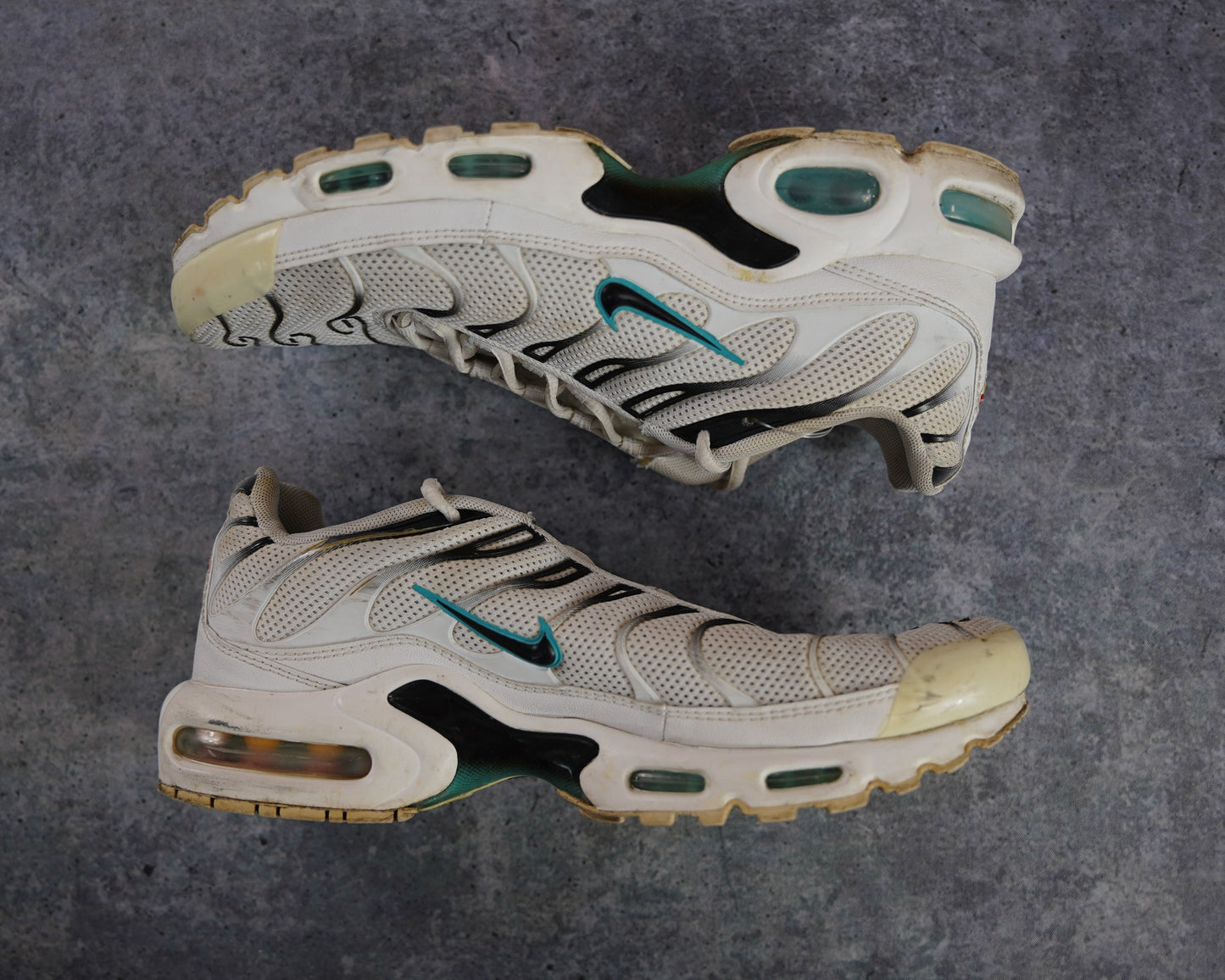Nike TN Air Max Plus 'Dusty Cactus' (43)