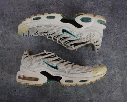 Nike TN Air Max Plus 'Dusty Cactus' (43)