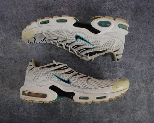 Nike TN Air Max Plus 'Dusty Cactus' (43)