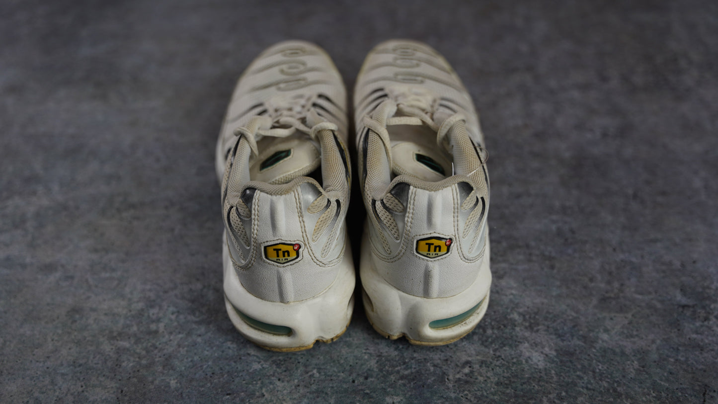 Nike TN Air Max Plus 'Dusty Cactus' (43)