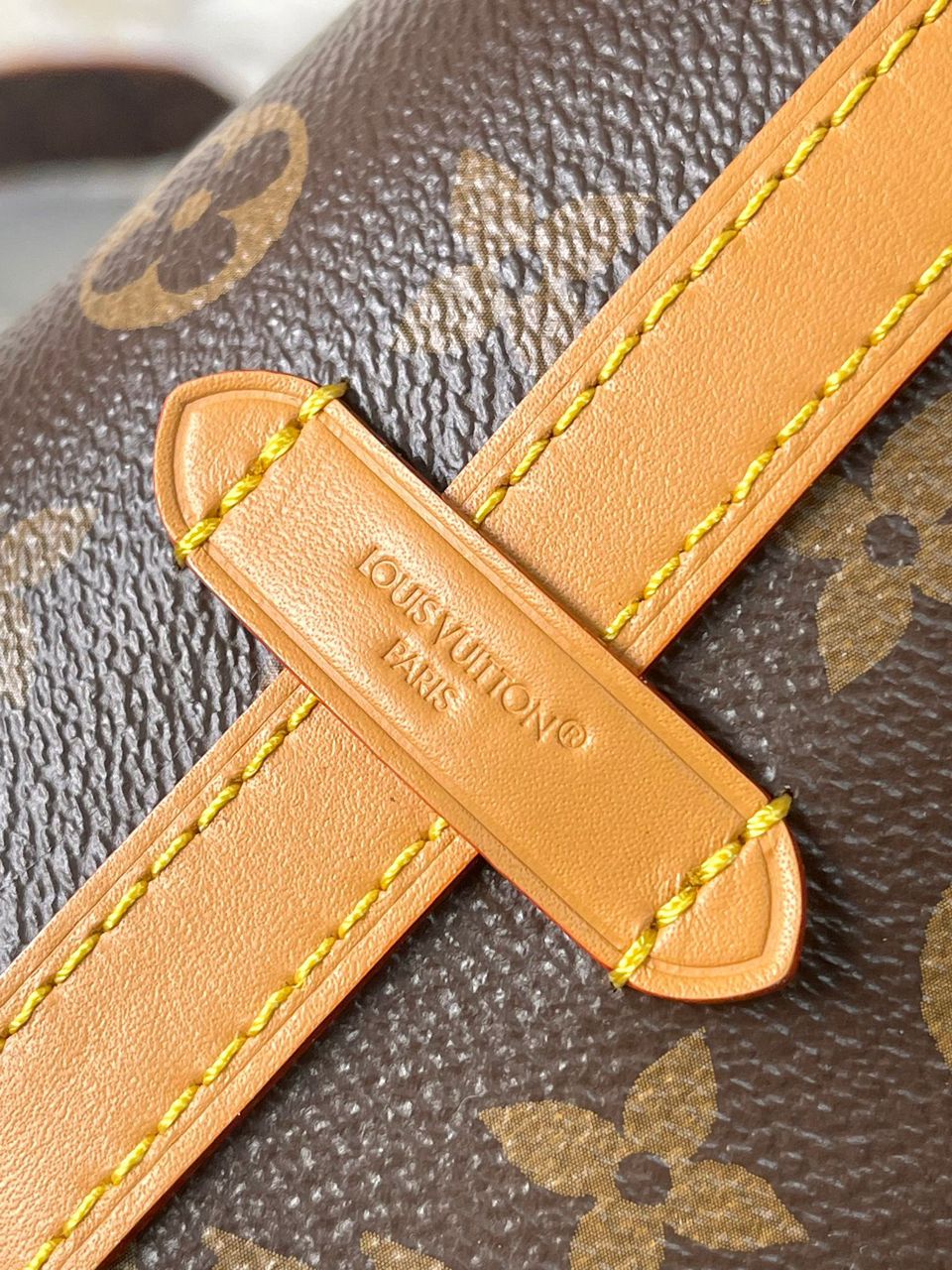 Borsa Louis Vuitton