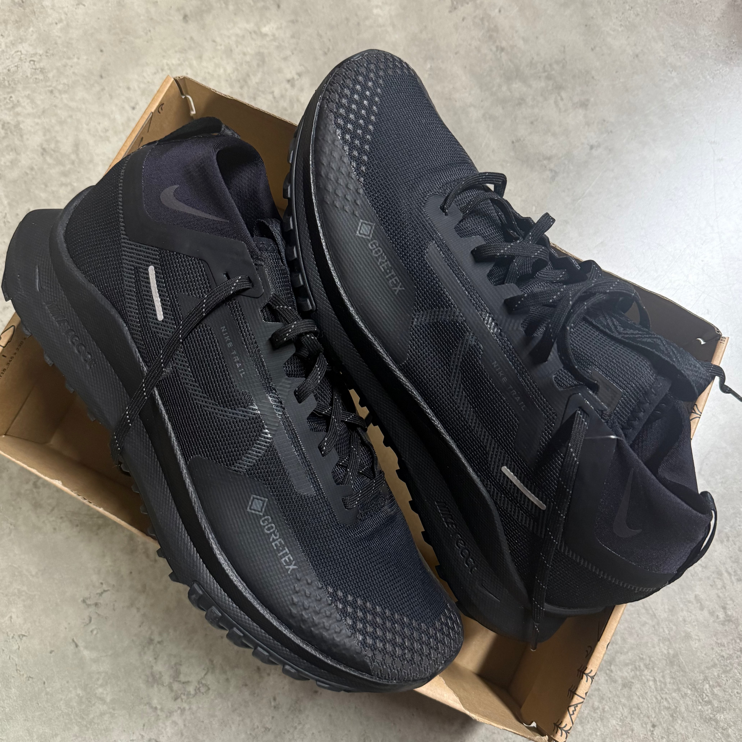 Nike Pegasus Trail Gore Tex