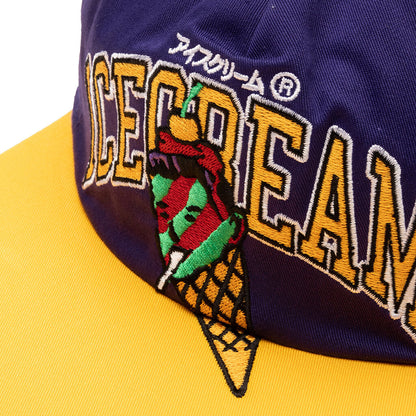 Basket Snapback Hat - Acai