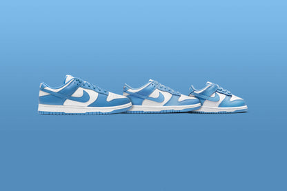 Dunk Low (TD) - White/University Blue