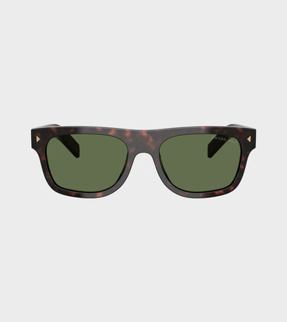 0PR B12S Root Tortoise/Polar Green