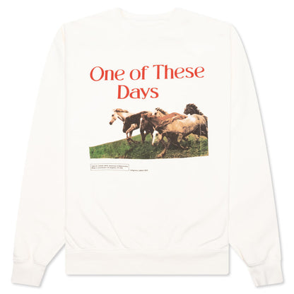Wild Horses Crewneck - Bone