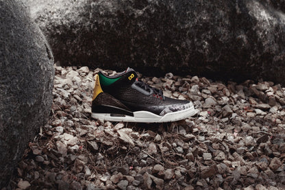 Air Jordan 3 Retro SE "Animal Instincts 2.0" - Black/Multi