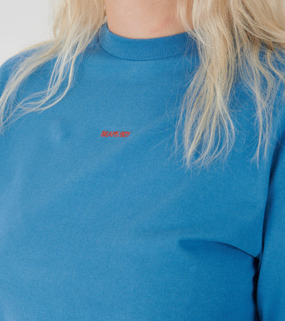 Mini Logo L/S T-shirt Blue