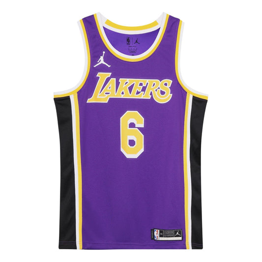Men's Nike NBA Quick Dry Sports Basketball SW Fan Edition Version Los Angeles Lakers Lebron James No. 6 Purple Jersey CV9481-513